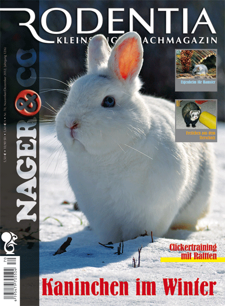 Rodentia 70 - Kaninchen im Winter