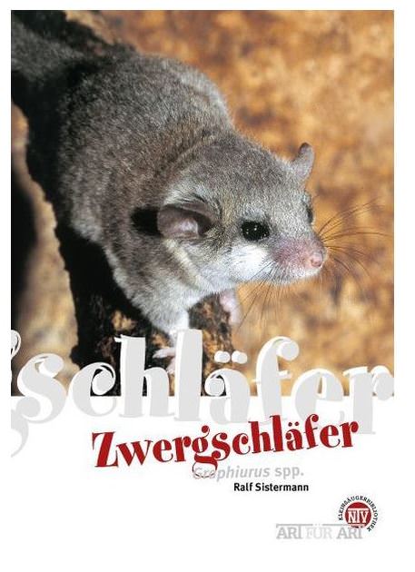 NTV - Zwergschläfer