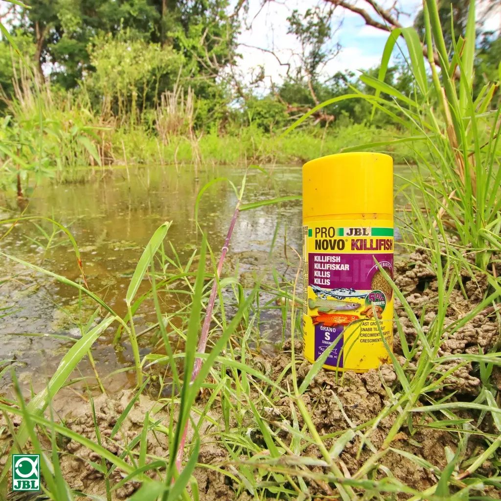 Boîte jaune de nourriture JBL PRONOVO Killifish au bord d'un étang. Plantes et eau en arrière-plan.
