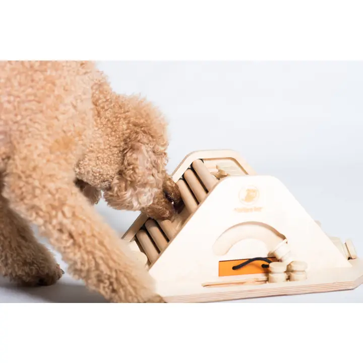 My Intelligent Pets - Pyramid