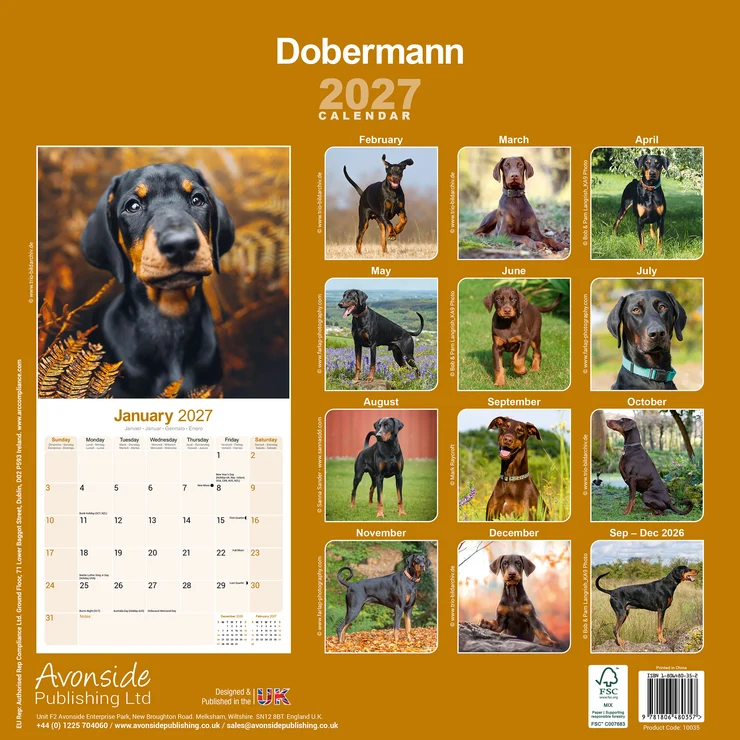 Calendar 2026 Doberman