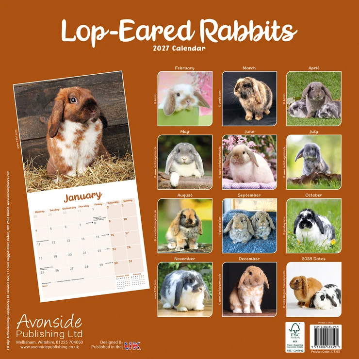 Kalender 2027 Lop-Eared Rabbits - Widder Kaninchen