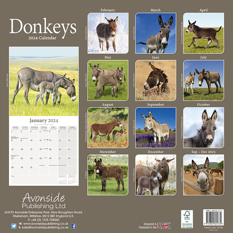 Kalender 2024 Esel - Donkeys - Jackasses