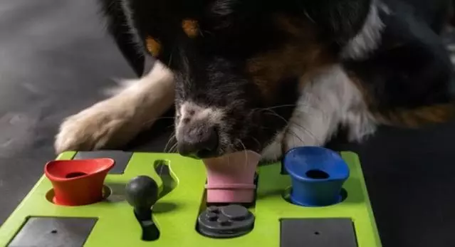 Eat Slow Live Longer Puzzle Rectangle