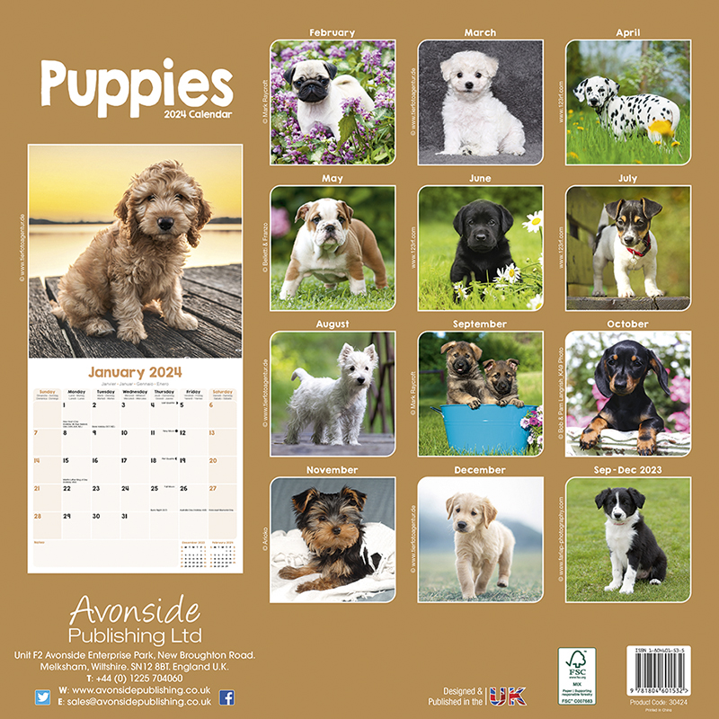 Kalender 2024 Welpen - Puppies