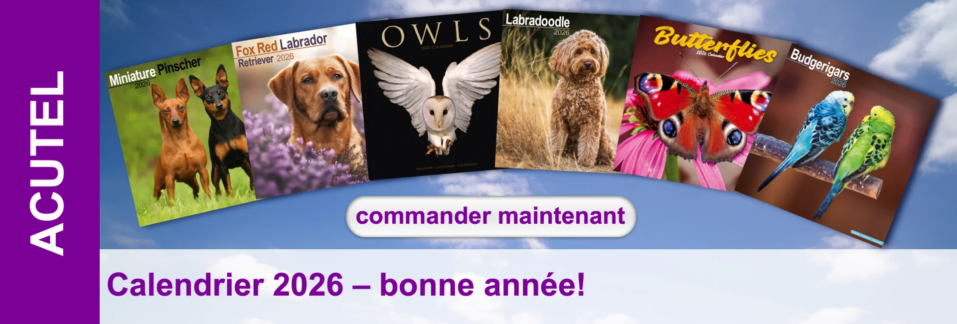 Cinq calendriers : Pinscher miniature, Labrador alezan, Hiboux, Labradoodle, Papillons & Perruches sur fond de ciel bleu.