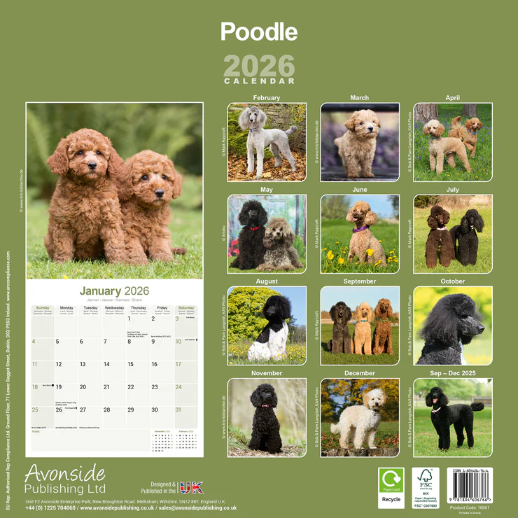 Calender 2025 Poodle