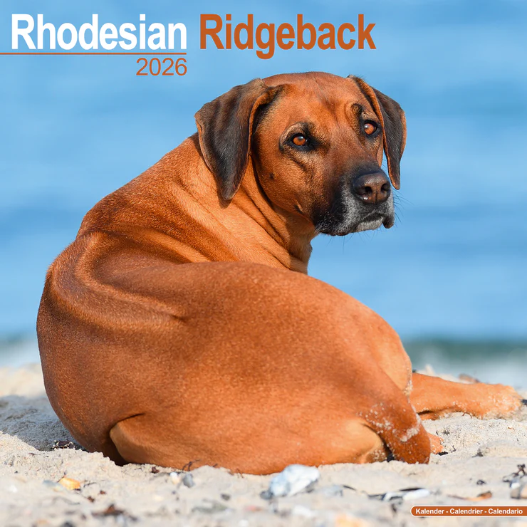 Calendar 2026 Rhodesian Ridgeback