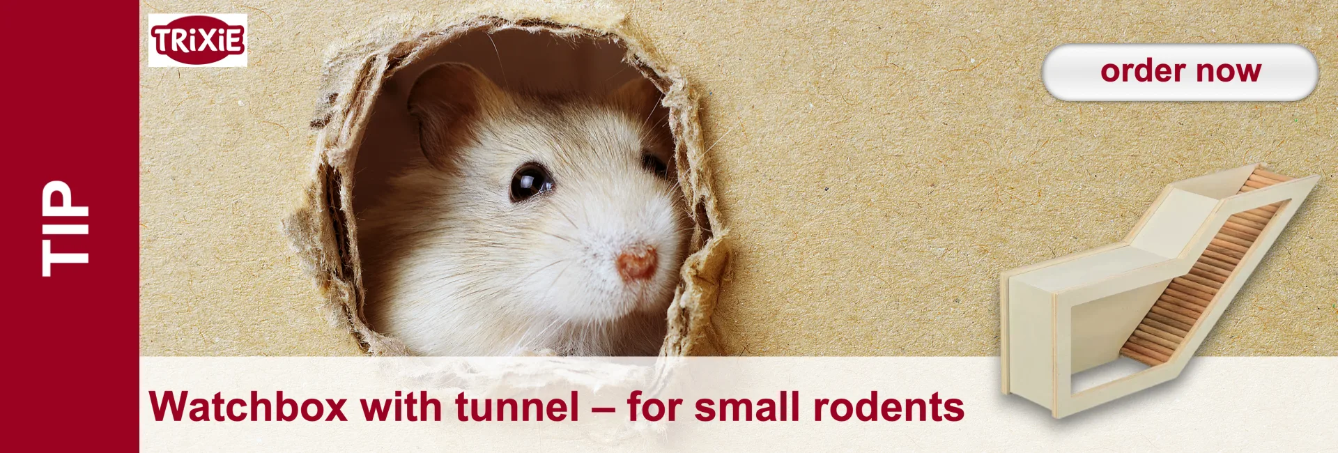 A small, light-coloured hamster peeks out of a torn hole in a brown cardboard box, its dark eyes and pink nose clearly visible. On the right is a beige wooden structure with a ramp f

or rodents, which serves as an observation box with a tunnel.