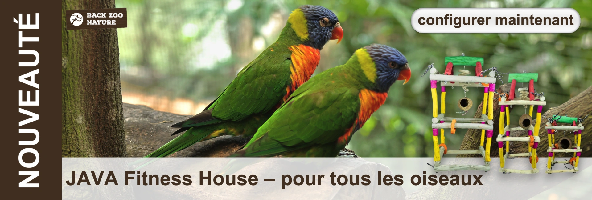 Deux perroquets aux couleurs chatoyantes, tête bleue, nuque jaune, plumage orange et vert, sont perchés sur une branche. À droite, trois aires de jeux en bois colorées à plusieurs niveaux, avec nids en coco et éléments d'escalade.