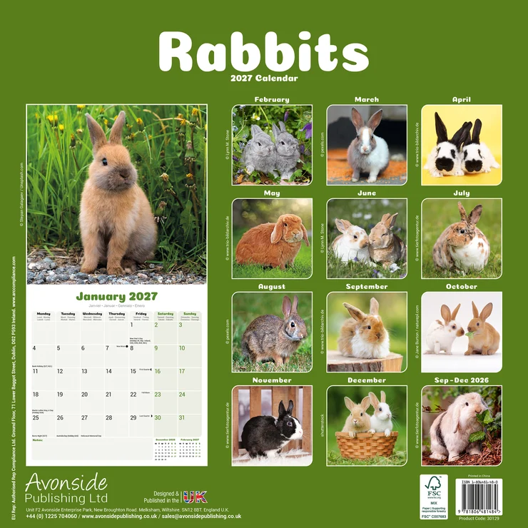Kalender 2027 Kaninchen - Zwergkaninchen - Rabbits