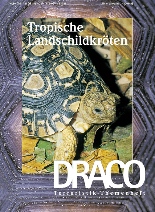Draco 08 - Tropische Landschildkröten