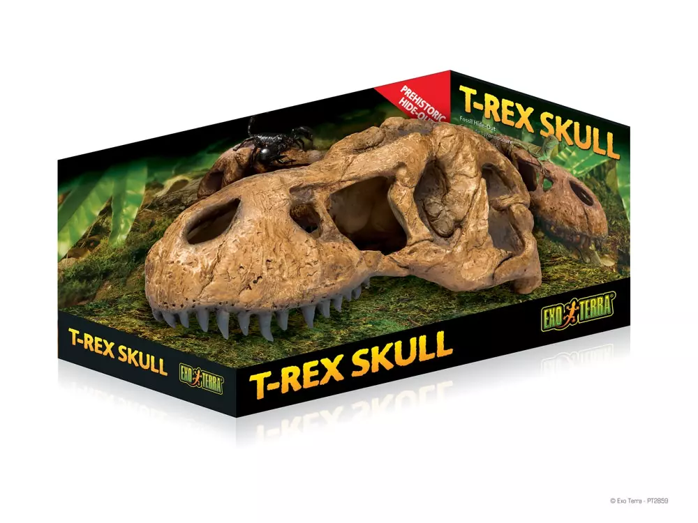 Exo Terra T-Rex