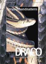 Draco Nr. 25 Strumpfbandnattern