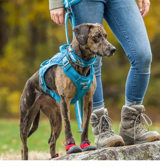 kurgo-country-harness-1 kurgo country harness
