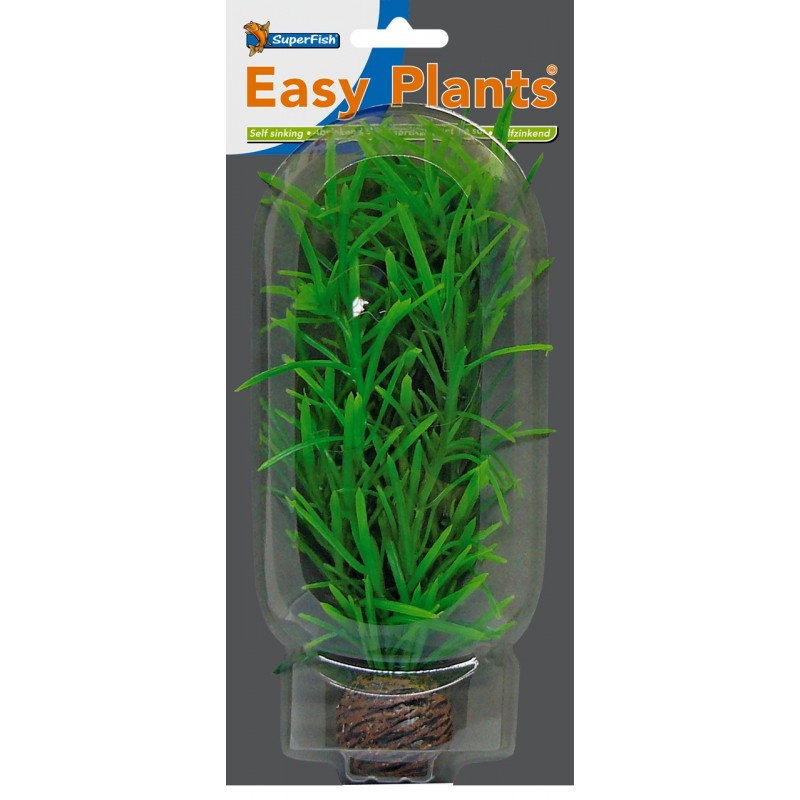 Mittelgrund und Hintergrund Plastikpflanze