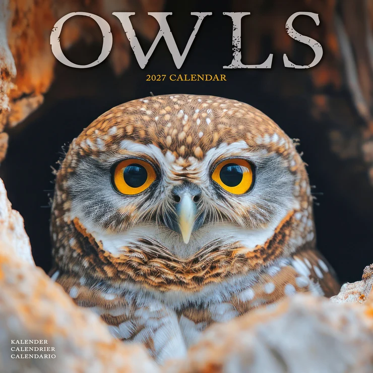 Kalender 2027 Eulen - Eule - Owls