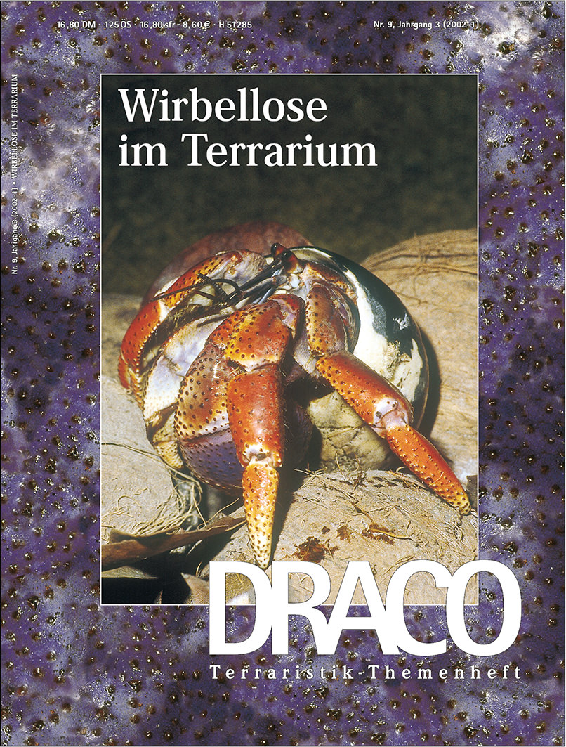 Draco 09 - Wirbellose im Terrarium