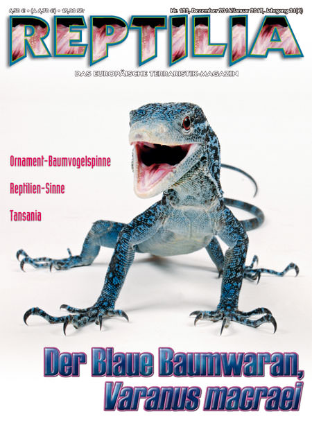 Reptilia 122 - Der Blaue Baumwaran, Varanus macraei