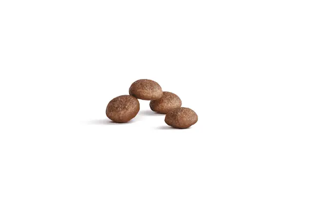 Royal Canin Ageing 11+ Royal Canin Ageing 11+