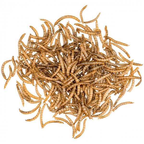 JR Farm Vermi della farina 400g