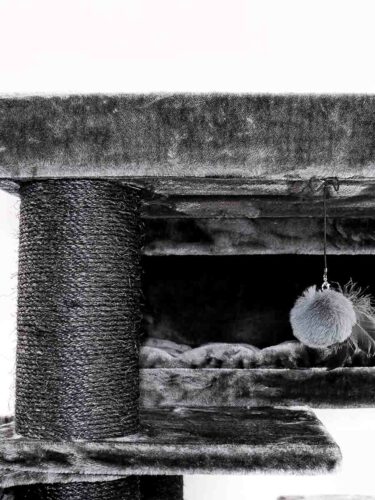 Tyrannus grigio scuro a più livelli. A sinistra, un grosso tronco da graffiare rivestito in sisal. A destra, un'accogliente cuccia per gatti con morbida pelliccia sintetica e cuscini. Sopra, un giocattolo soffice con piume.
