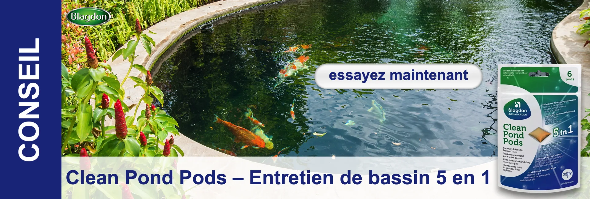 Un étang de jardin plein de vie, avec des koïs orange, blancs et panachés dans une eau limpide. Sur la rive, végétation luxuriante aux fleurs rouges. En bas à droite, un paquet de Clean Pond Pods (5-en-1) Blagdon. Essayez-le dès maintenant.