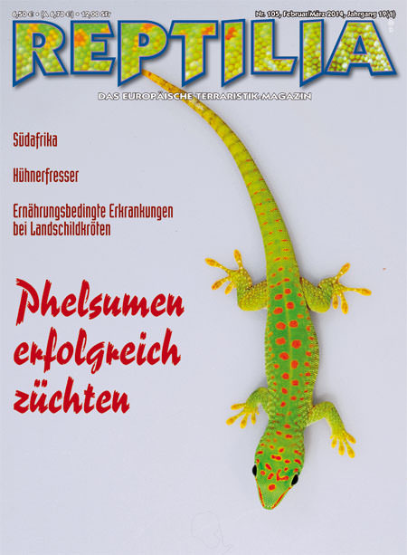 Reptilia 105 - Phelsumen erfolgreich züchten