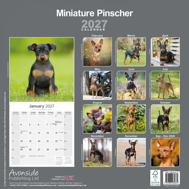 Calendario 2026 Miniature Pinscher - Miniature Pinscher