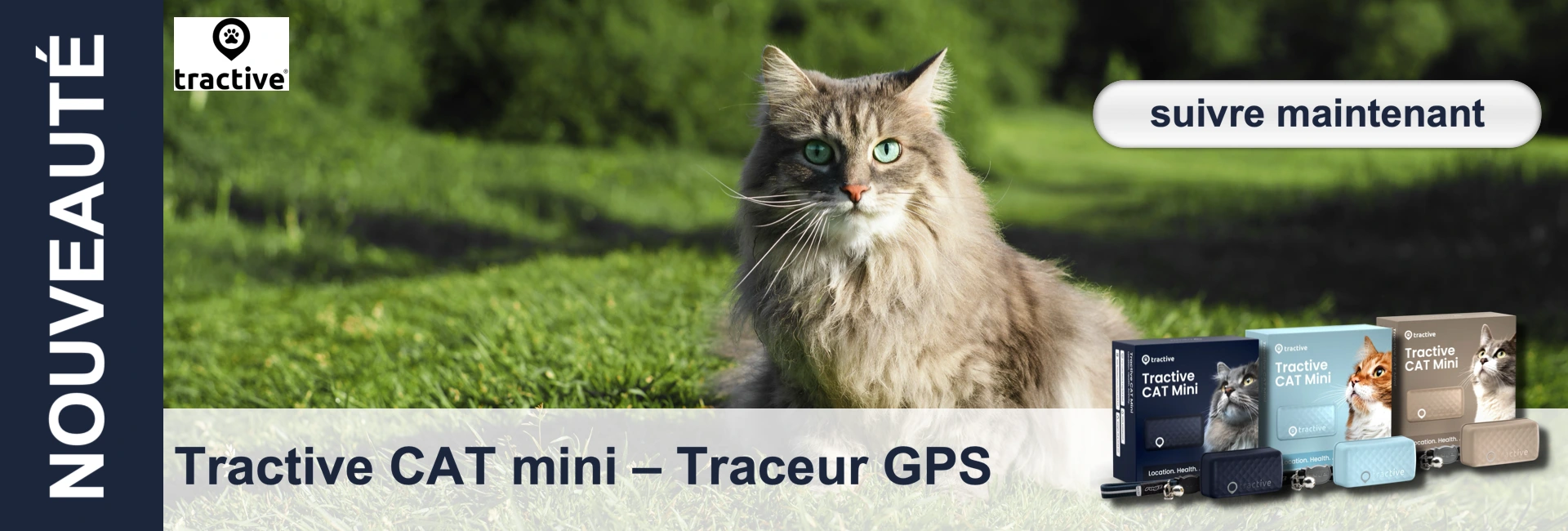 Un chat tigré gris aux yeux verts est assis dans une prairie, avec en arrière-plan des produits et un badge portant l'inscription "suivre maintenant".