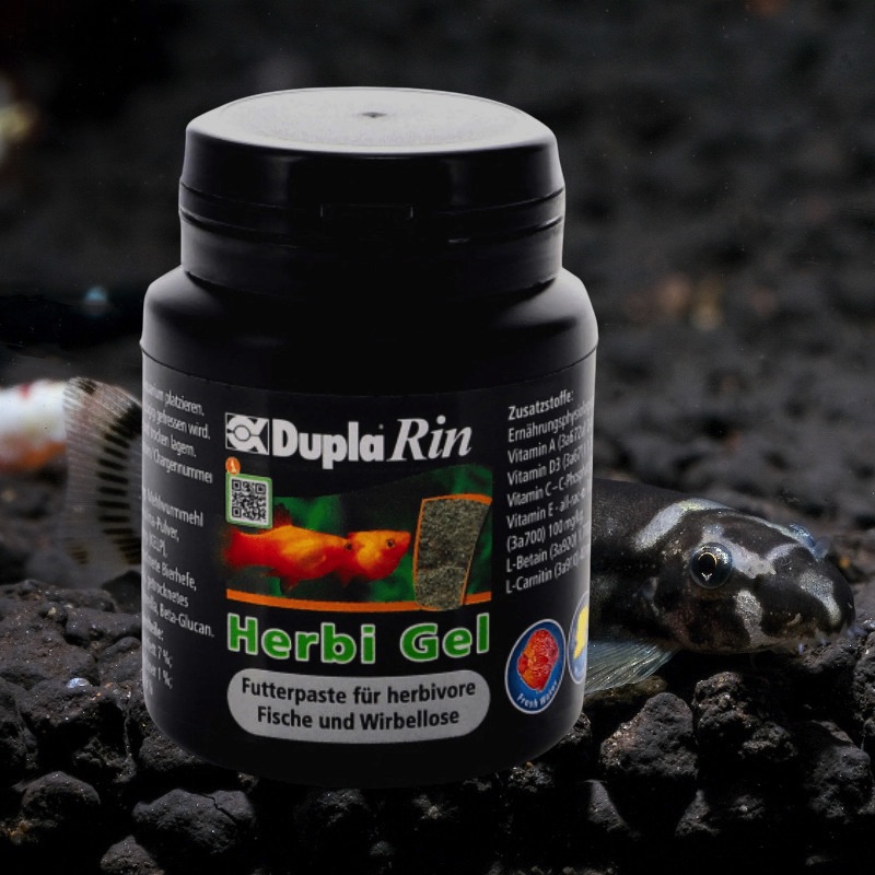 Schwarze Dose DuplaRin Herbi Gel mit Futterpaste, im Aquarium platziert, mit Fischen im Hintergrund.