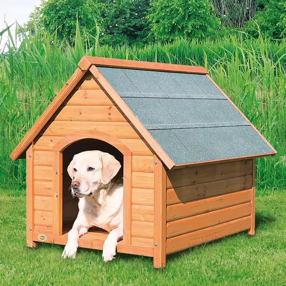 Dog kennel with gable roof
