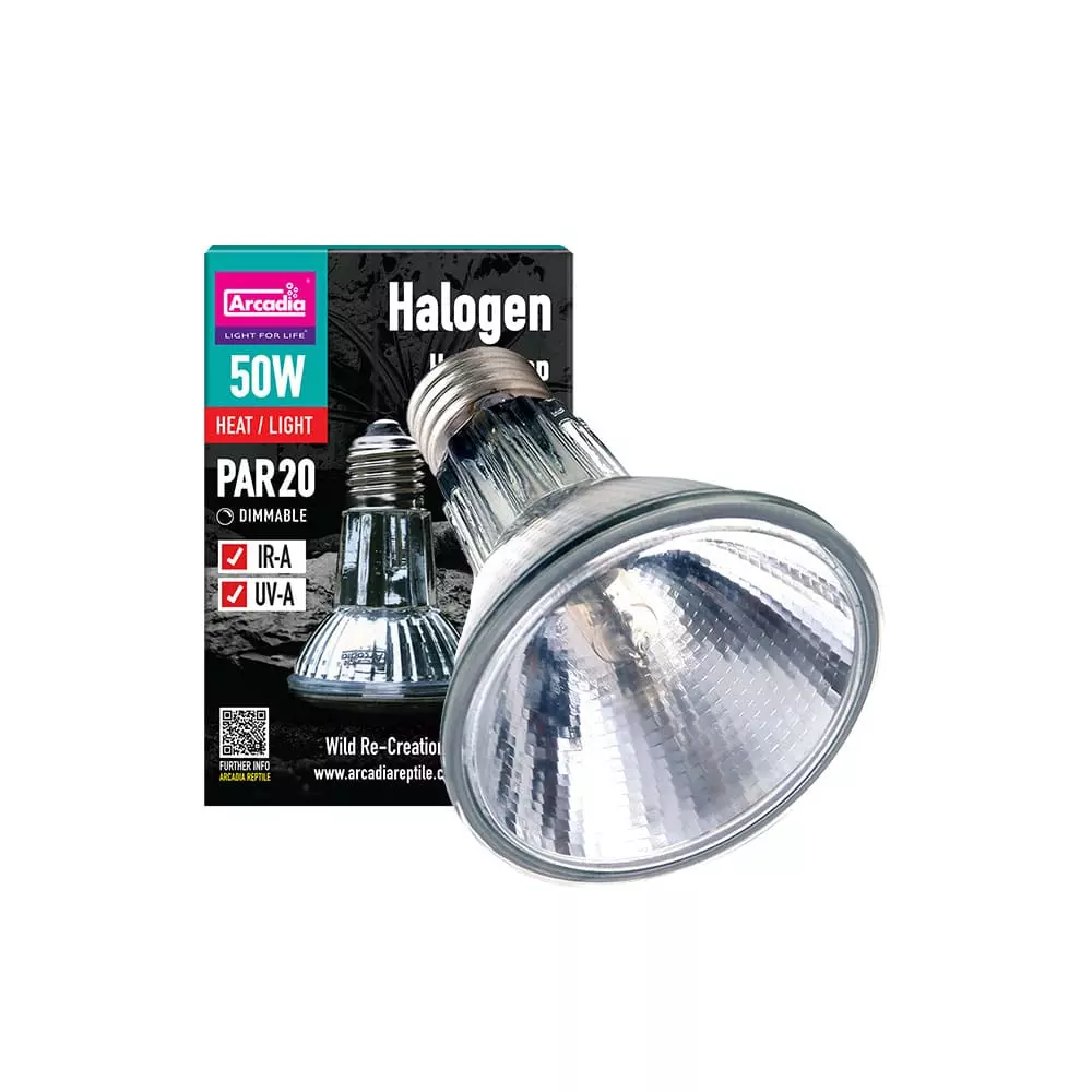 Arcadia Halogen Lampe