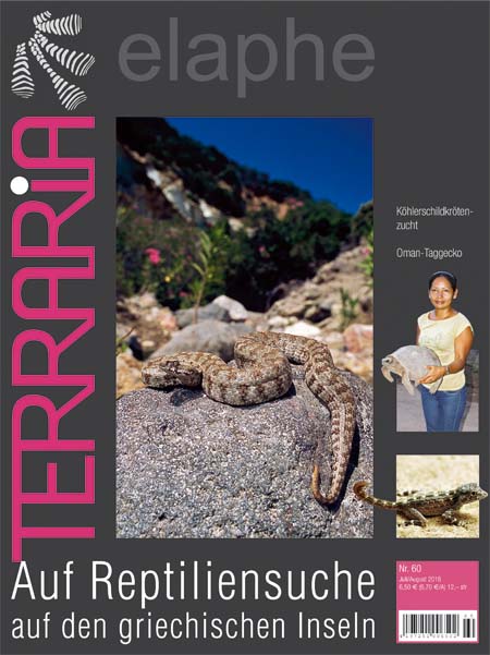 Terraria 60 - Auf Reptiliensuche auf den griechischen Inseln