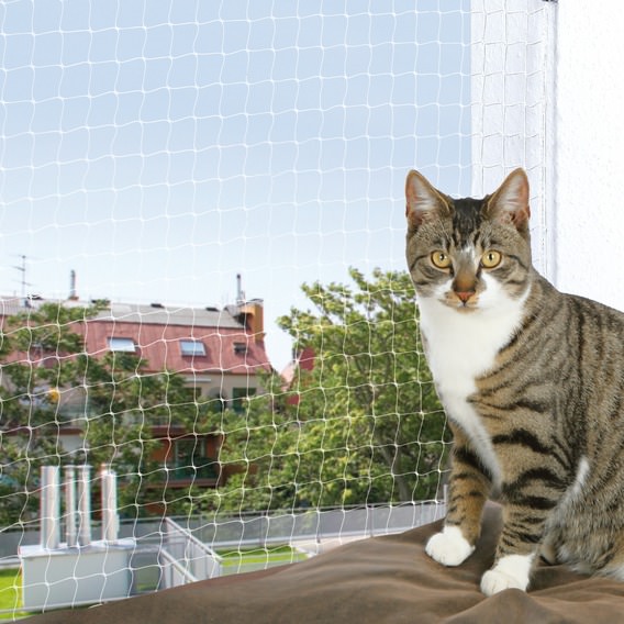 Cat Protect Netz mit Befestigungsmaterial, transparent