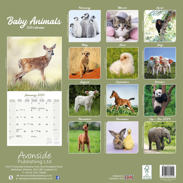 Kalender 2025 Tierkinder - Baby Animals