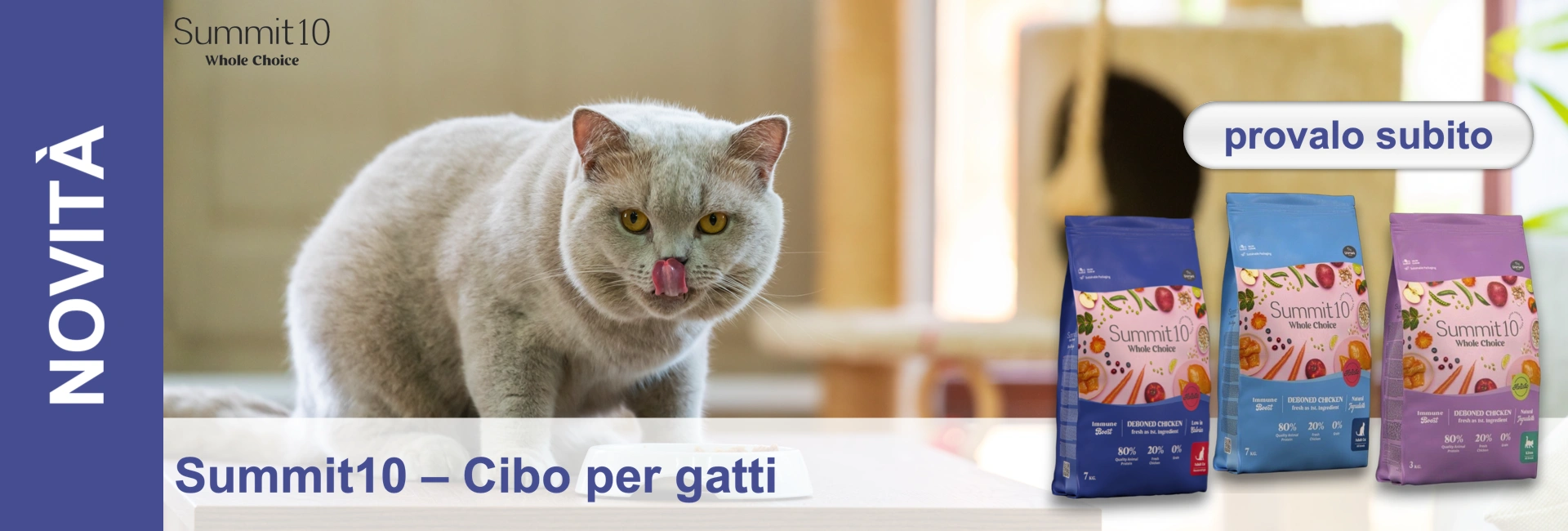 Un gatto grigio chiaro si lecca il naso, con una ciotola per il cibo davanti e confezioni di cibo per gatti dietro di lui.
