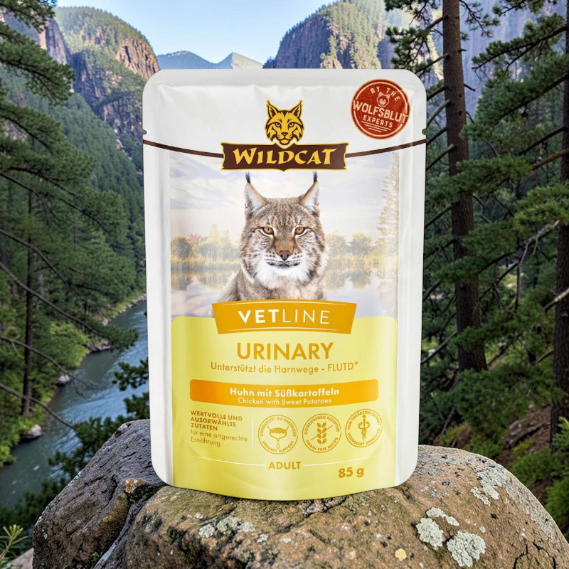 Wildcat Vetline Urinary Cat Food ‘Chicken with Sweet Potatoes’ on a grey rock. White packaging featuring a lynx, the brand name and the text ‘Supports the urinary tract – FLUTD’. In the background: a river, green forests and mountains.