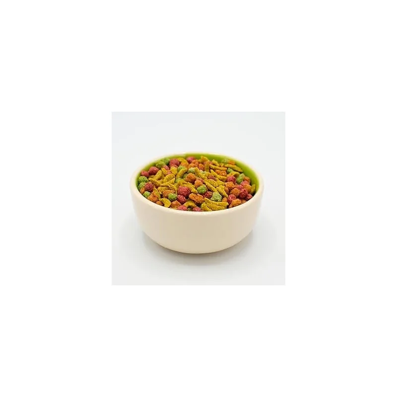 Una ciotola color beige con un sottile bordo verde è piena zeppa di mangime secco per animali. È composto da piccoli pezzi croccanti di varie forme e colori vivaci come il rosso, il verde e il giallo.
