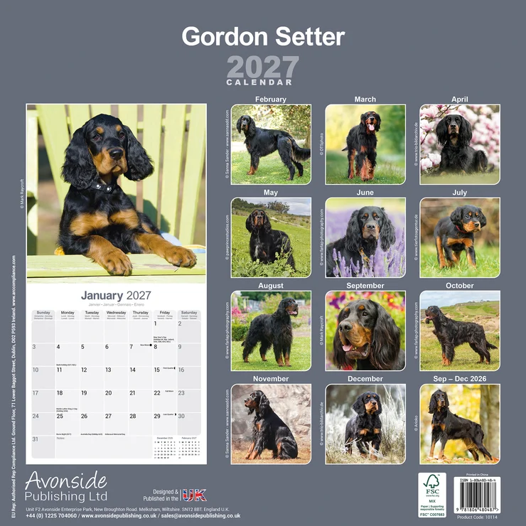 Kalender 2027 Gordon Setter