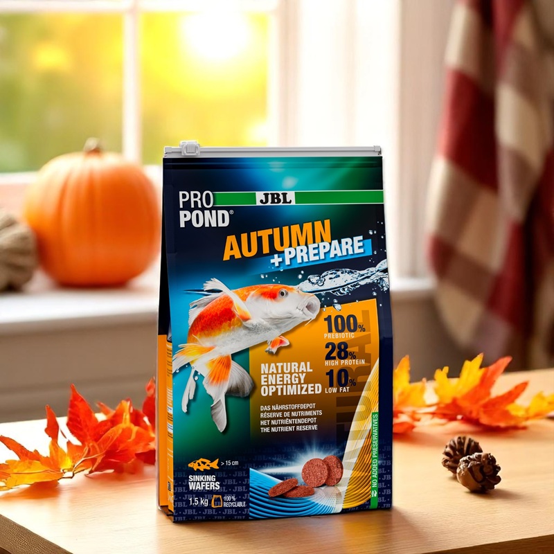 jbl-autumn-prepare-1