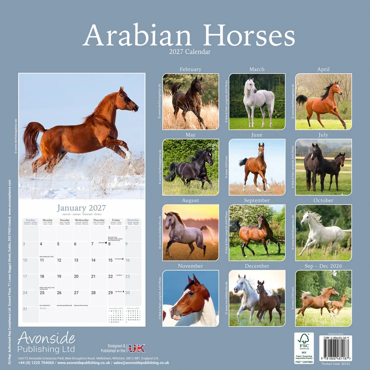 Kalender 2027 Araber - Arabian Horses