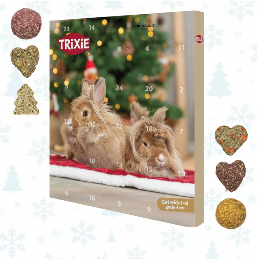 Advent calendar rodent