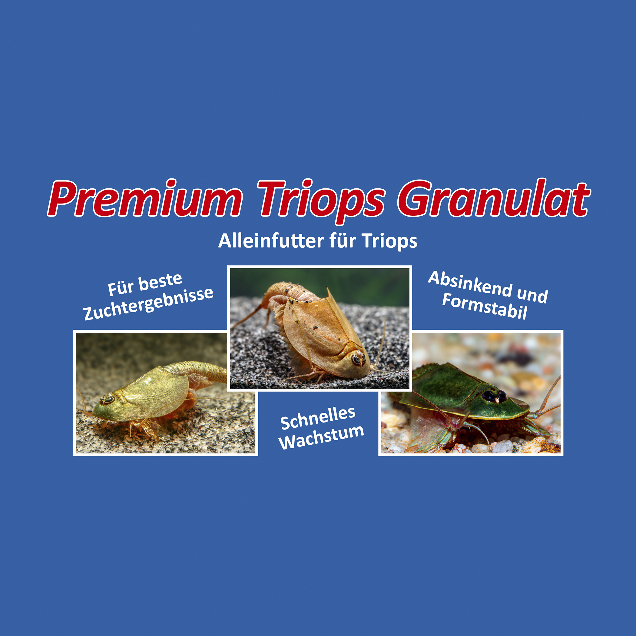 Granulés Triops - nourriture complète Granulés Triops - nourriture complète