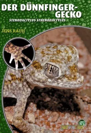 Der Dünnfingergecko