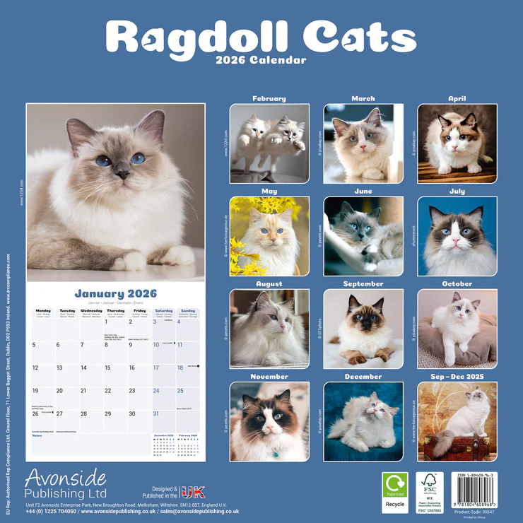 Ragdoll Cats Kalender 2026