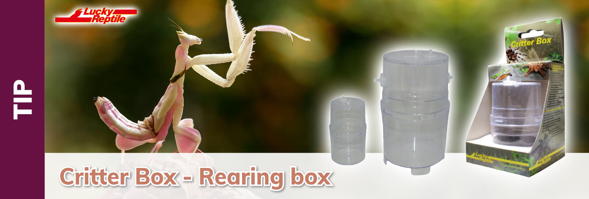 Lucky Reptile Critter Box - Rearing Box