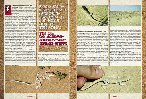 Reptilia 84 - Naturnahe Terrarien