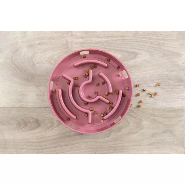 Cat Activity - Rocking Maze