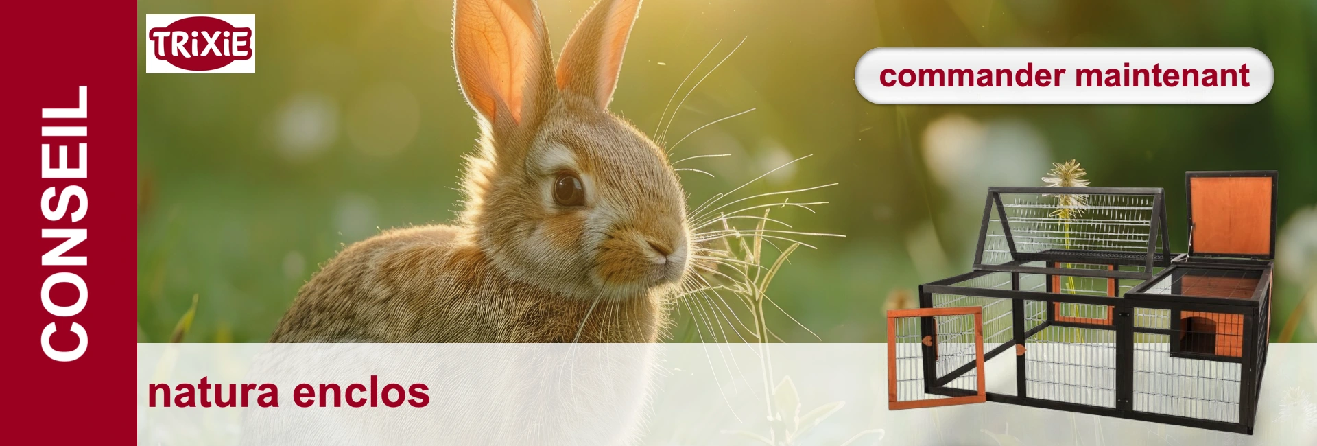 Photo claire avec un lapin qui regarde vers la gauche, à côté d'un clapier à lapins en bois noir posé sur une table blanche.